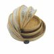 Bamboo Food Tray with Mesh Net Tent - Circle